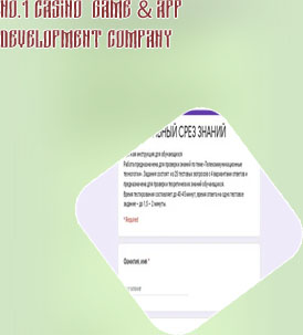 App casino web development partner