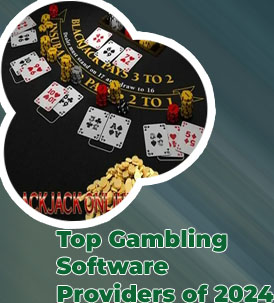 Casino company software