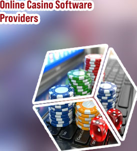 Software for online casinos